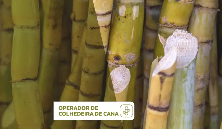 Operador de Colhedeira de Cana